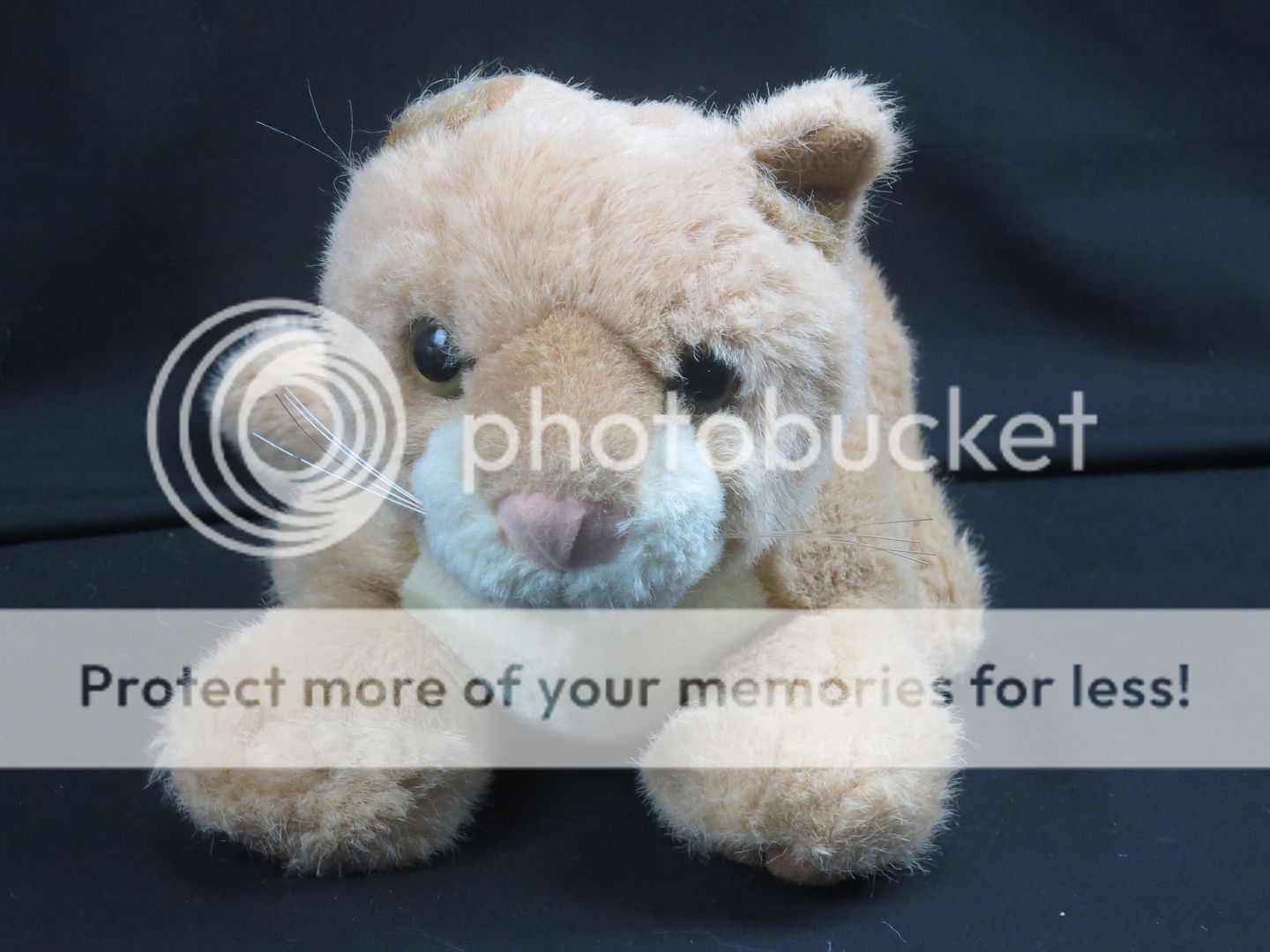 friends of the environment baby cub lion pouncing hugs plush